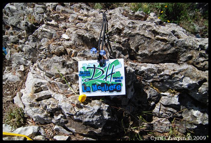 DSC_0789-border