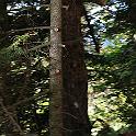 DSC_0917-border