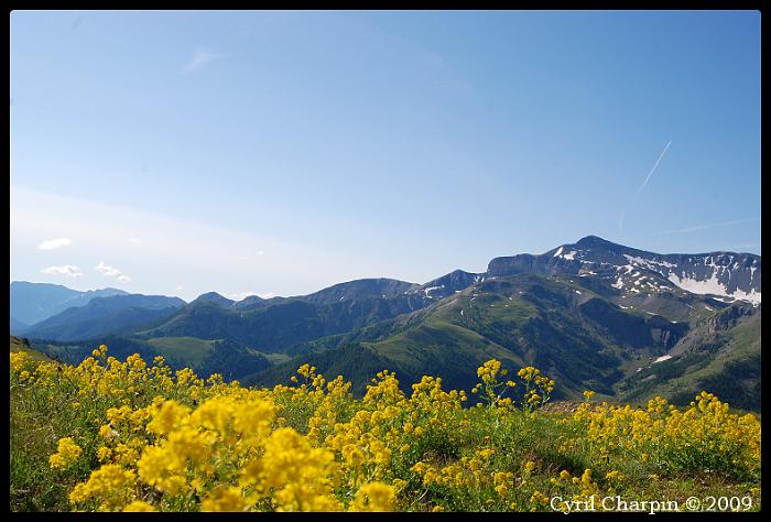 DSC_1346-border