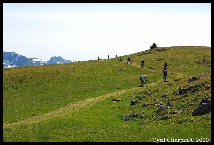 DSC_1363-border