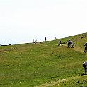 DSC_1363-border